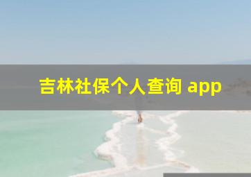 吉林社保个人查询 app